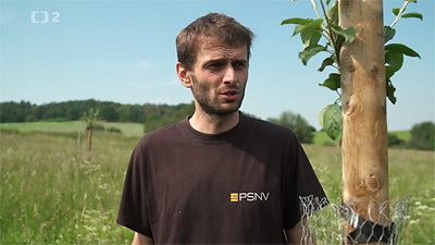 Nedej se - včelí hladovění